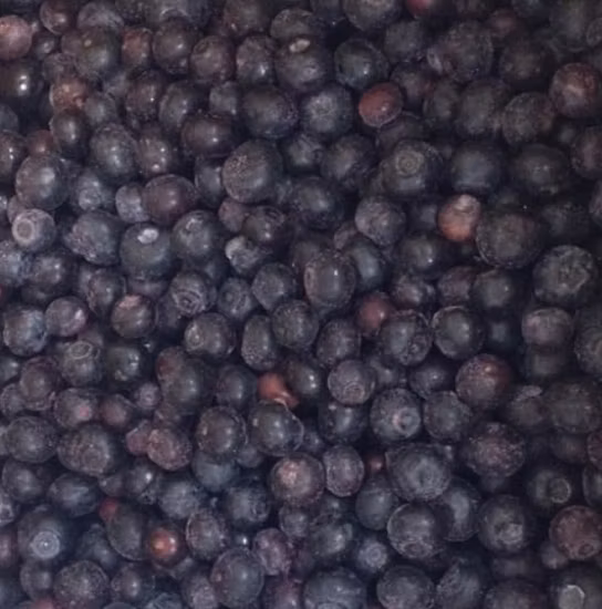 Abricot coupé en dés surgelé IQF avec fruits surgelés de haute qualité