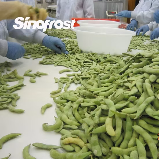 Grains de soja surgelés IQF, grains d'edamame surgelés, fèves de soja écossées surgelées, edamame écossés surgelés