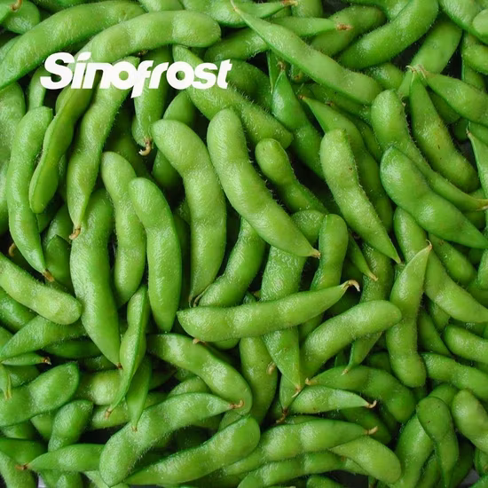 Edamame surgelé de soja vert surgelé IQF de qualité supérieure dans une cosse