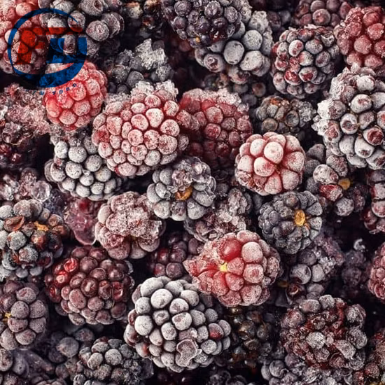 Fruits mélangés de baies bleues surgelées aux myrtilles IQF